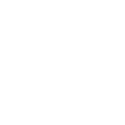 ejecutivo